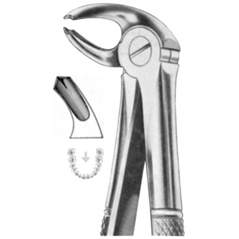 Extracting Forceps