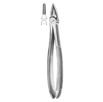 Extracting Forceps