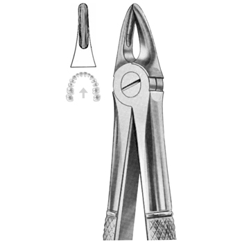 Extracting Forceps