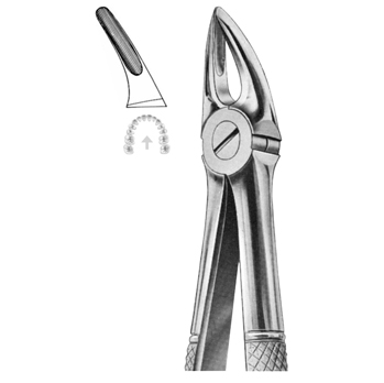 Extracting Forceps