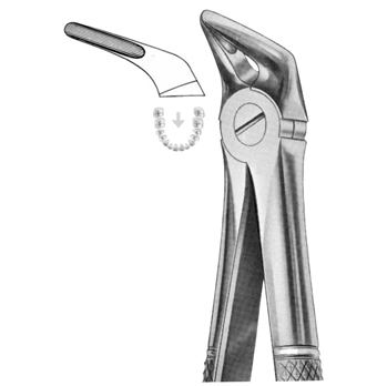 Extracting Forceps