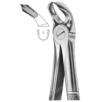 Extracting Forceps