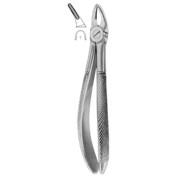 Extracting Forceps