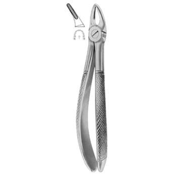 Extracting Forceps