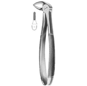 Extracting Forceps