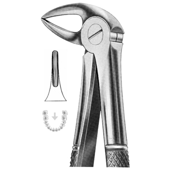 Extracting Forceps