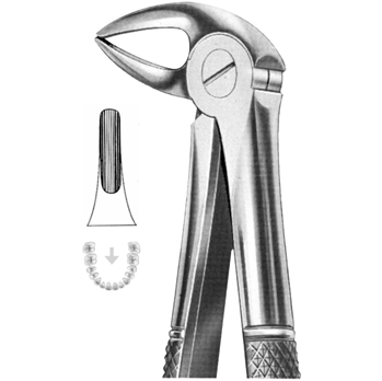 Extracting Forceps