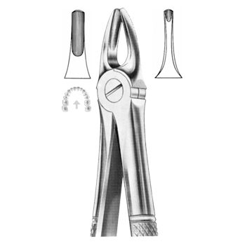 Extracting Forceps