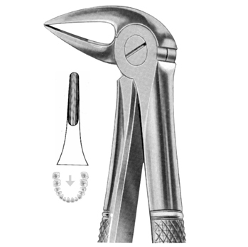Extracting Forceps