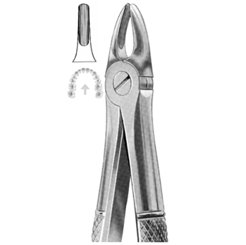 Extracting Forceps