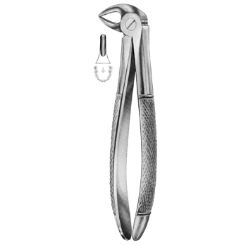 Extracting Forceps