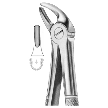 Extracting Forceps
