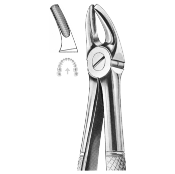 Extracting Forceps