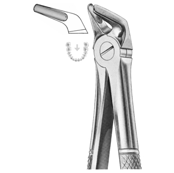 Extracting Forceps