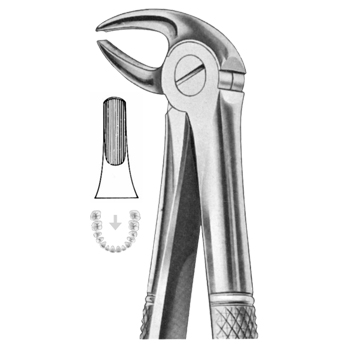 Extracting Forceps