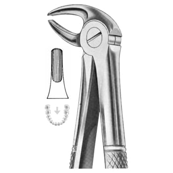 Extracting Forceps