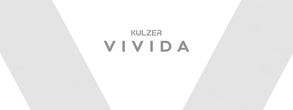 Kulzer Vivida Prophy Pen