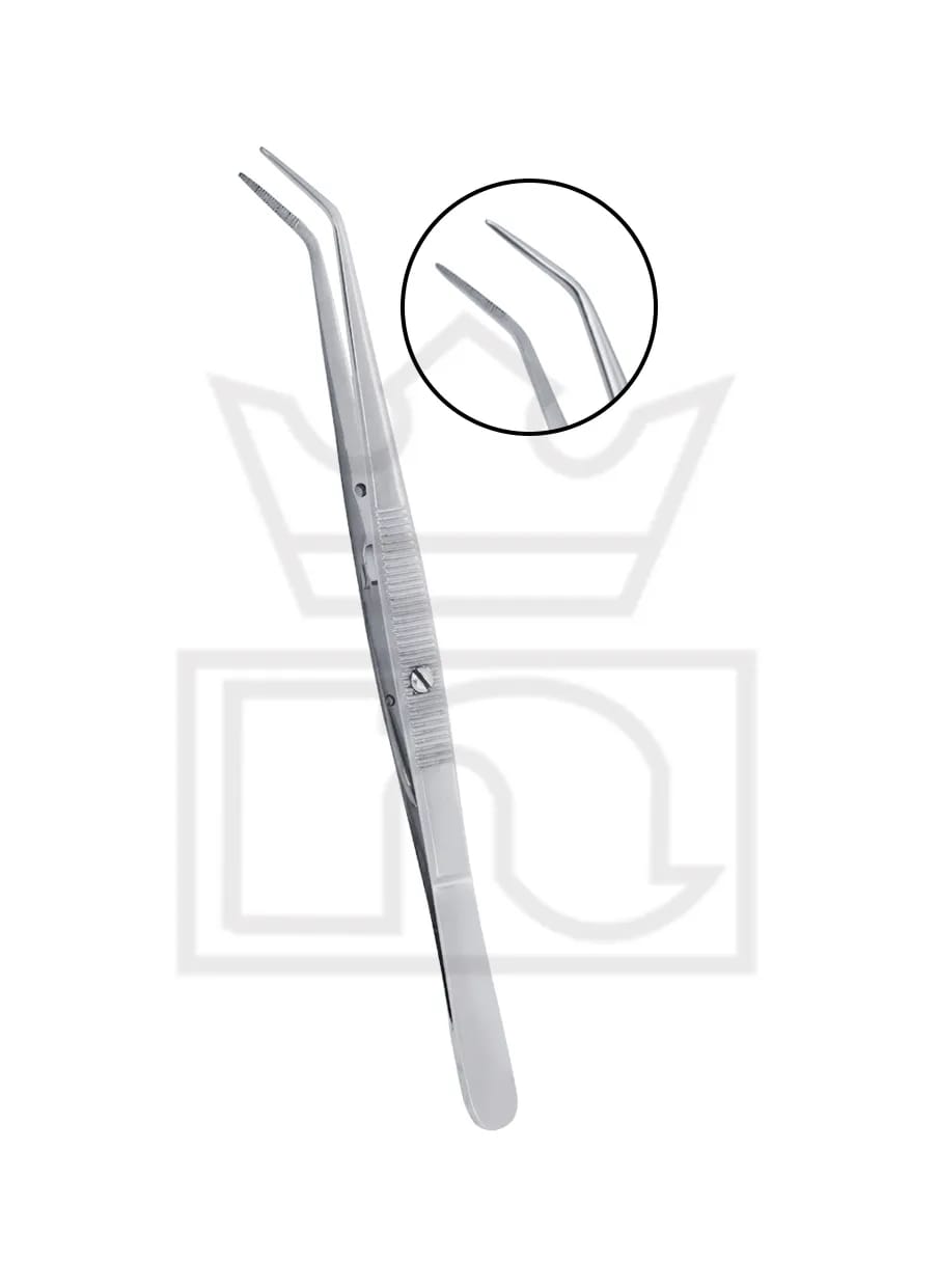 College Cotton Pliers with locking 2255/2 WL – Nadir & Co, Zahntechnikzangen