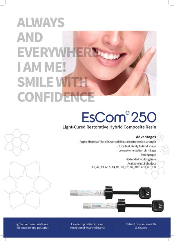 Φυλλάδιο Σύνθετης Ρητίνης Spident EsCom 250