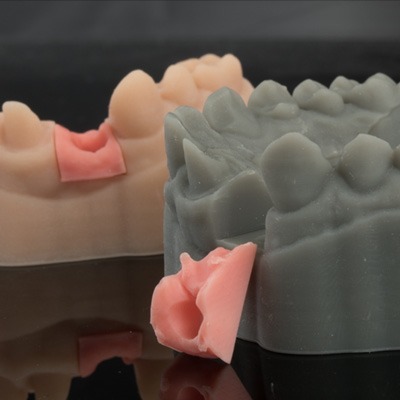 Organic 3D Gingiva ECO