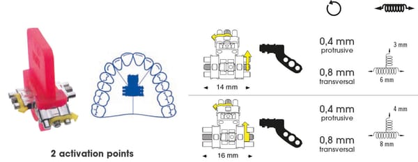 Anatomische Mehrsektorenschraube mit 2 Aktivationsbereichen