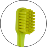 1580 Soft – Pesitro Healthcare Products Co.,Ltd, Toothbrushes