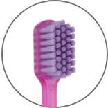 PESITRO Classic – Pesitro Healthcare Products Co.,Ltd, Toothbrushes