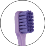 7680 Clever UltraSoft – Pesitro Healthcare Products Co.,Ltd, Toothbrushes