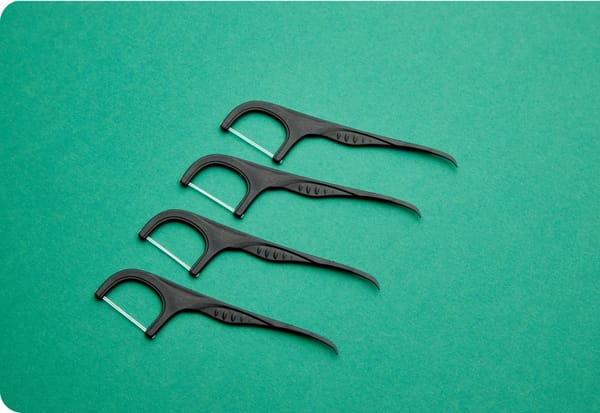 Professional double clean flosser picks