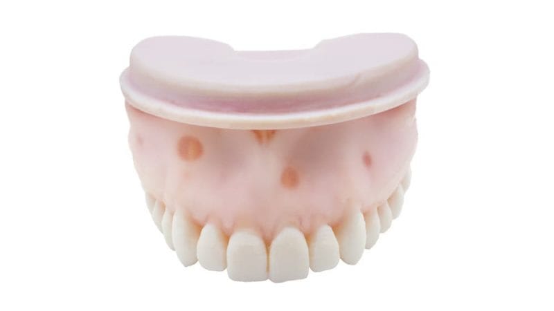 TrueJaw mit Kalzifiziertem Kanal – PlanB Dental, Demomodelle