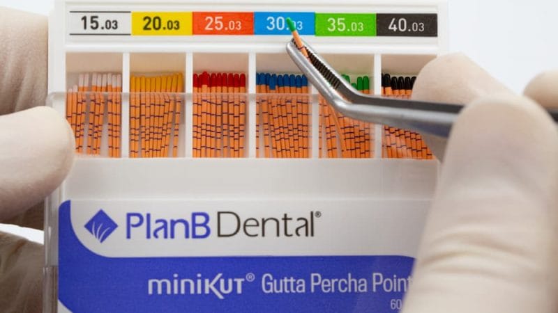 miniKUT Sortierte Guttapercha-Stifte – PlanB Dental, Guttaperchaspitzen - Kunststoffspitzen
