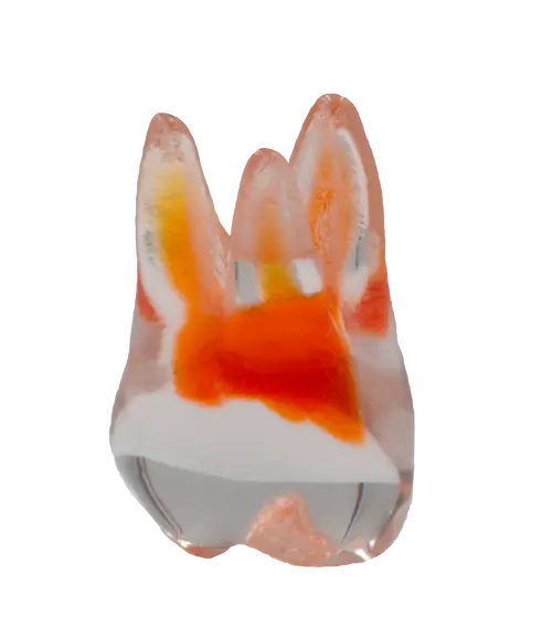 TrueTooth – PlanB Dental, Die & Model Materials