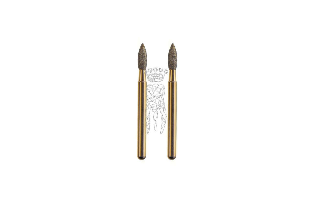 FG-Diamanten für 1333 - 1 Paar Schaft Ø 1.6 mm – Carl Martin