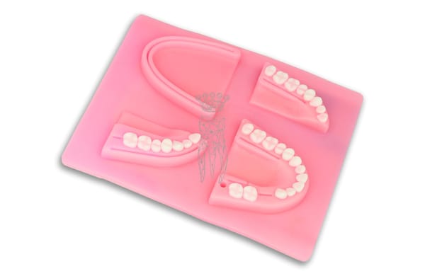 Dentalnaht-Übungspad - Gebissform