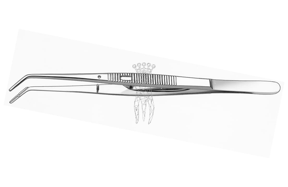 Schlosspinzette 15cm – Carl Martin, Tweezers