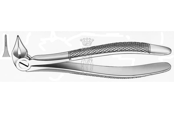 Zahnzange Haftprofil UK Wurzeln