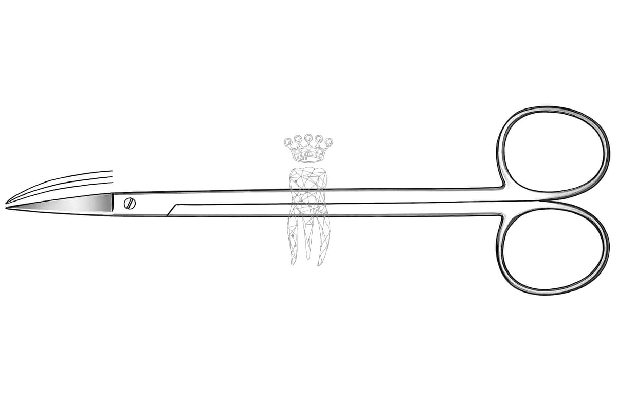 Chirurgische Schere Kelly gebogen gebogen gezahnt 16cm – Carl Martin, Other Surgical Instruments