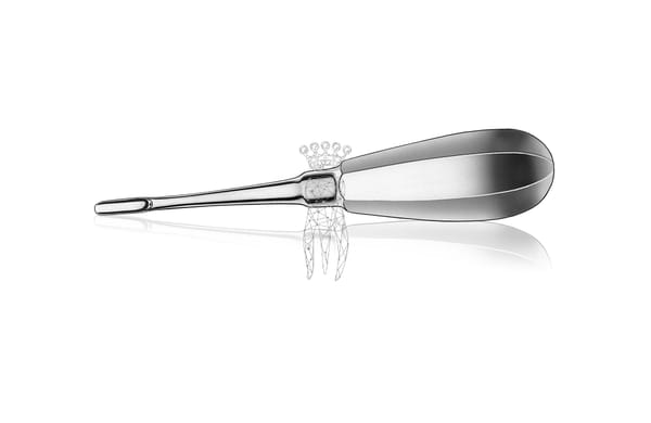 Wurzelheber Bein 4.5mm