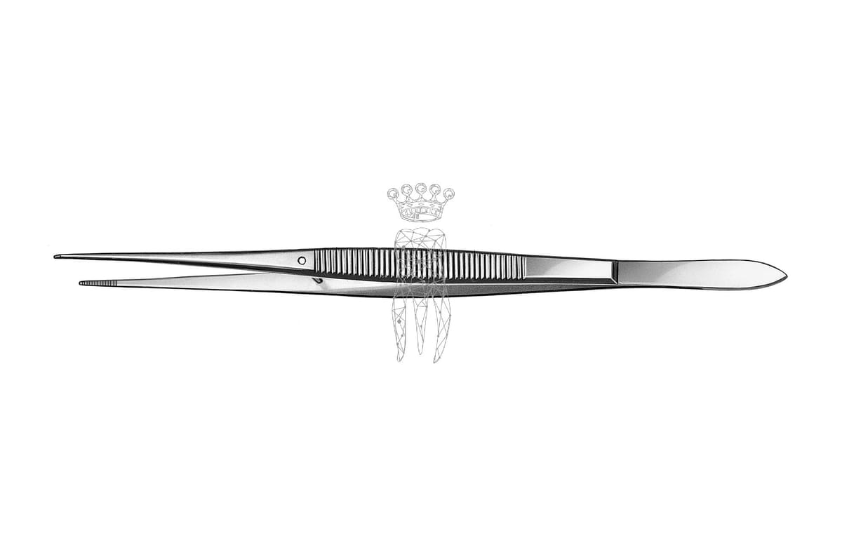 Pinzette gerade gerieft 16cm – Carl Martin, Tweezers