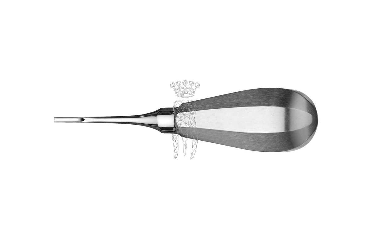Wurzelheber 2.5mm – Carl Martin, Root Elevators