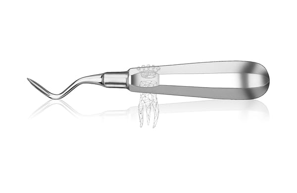 Wurzelheber Apical