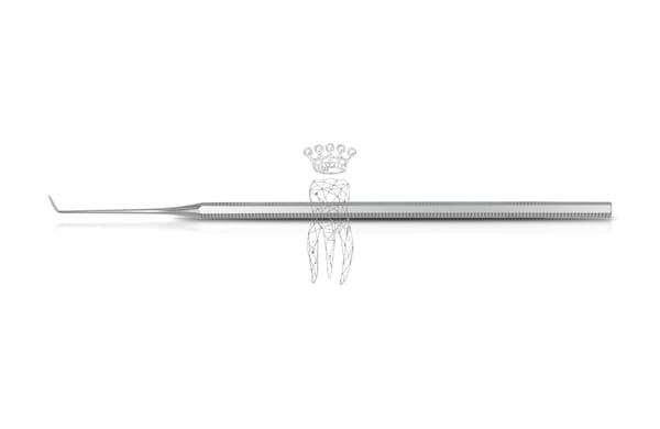 Sonde