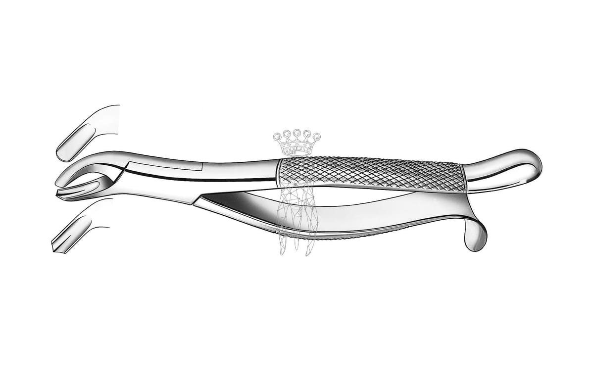 Zahnzange amerikanische Form OK Molaren rechts – Carl Martin, Extraction Forceps Upper Jaw