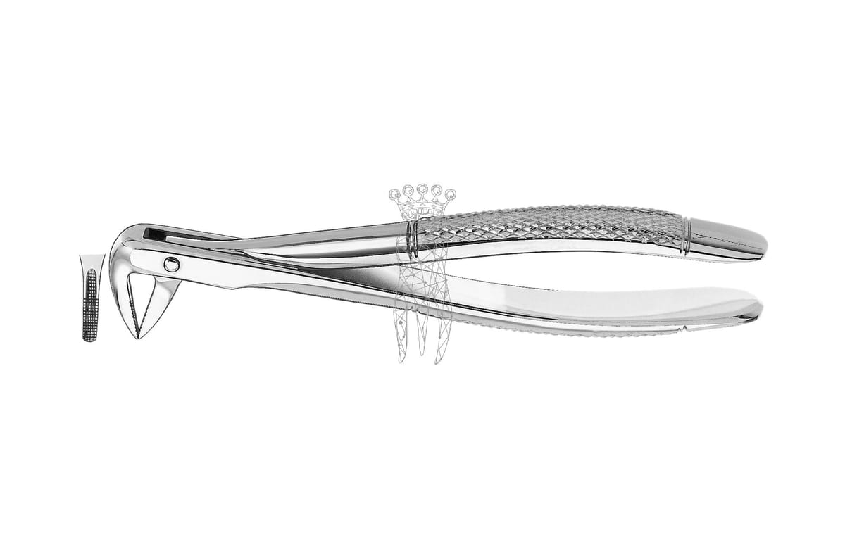 Zahnzange UK Wurzeln – Carl Martin, Extraction Forceps Upper Jaw