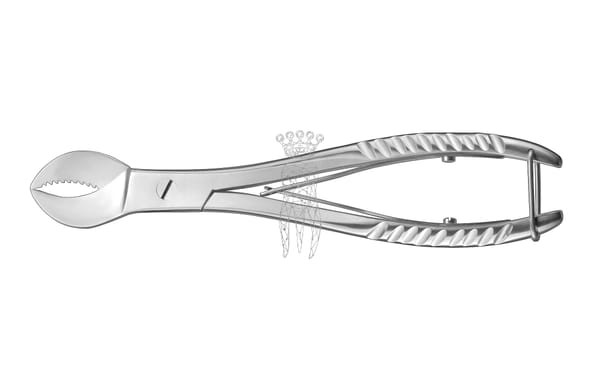 Gipsbrecher