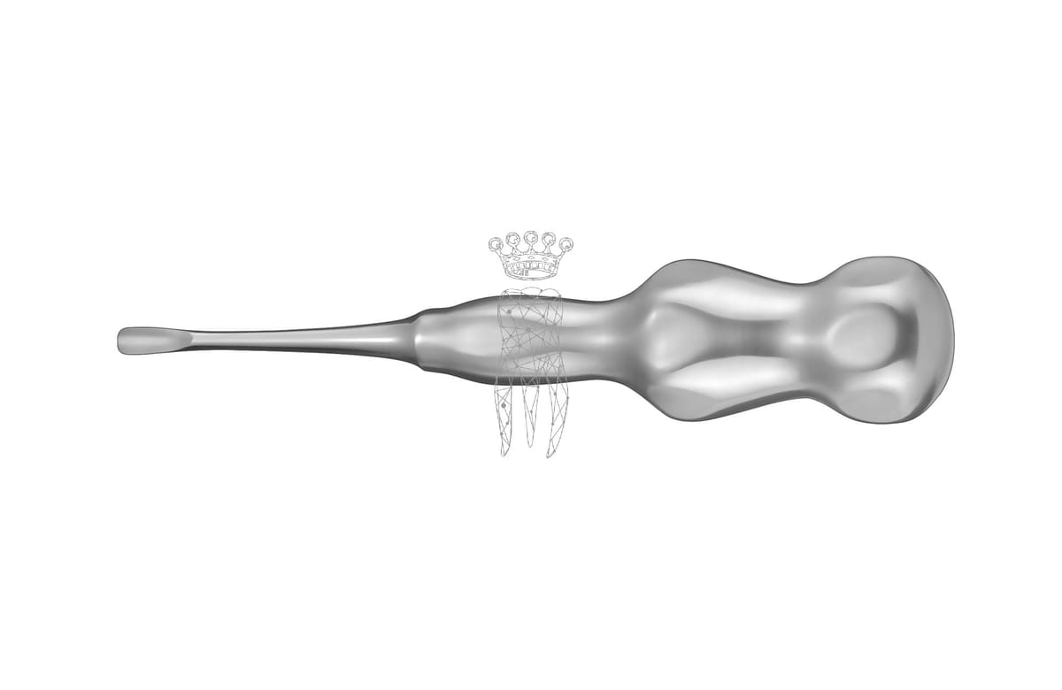 Luxationsinsinstrument Handform gerade 5.0mm – Carl Martin, Wurzelheber