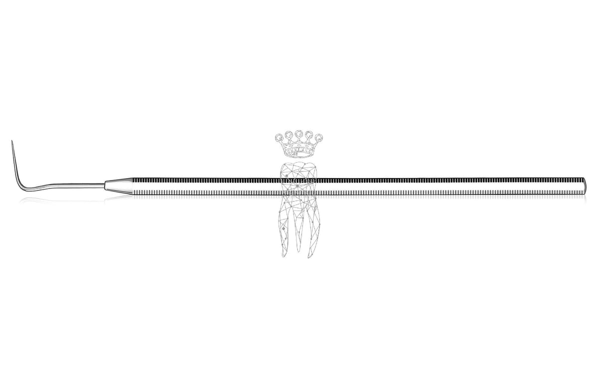 Zahnsonde Oktagonal-Griff 1081/32 – Carl Martin, Sonden