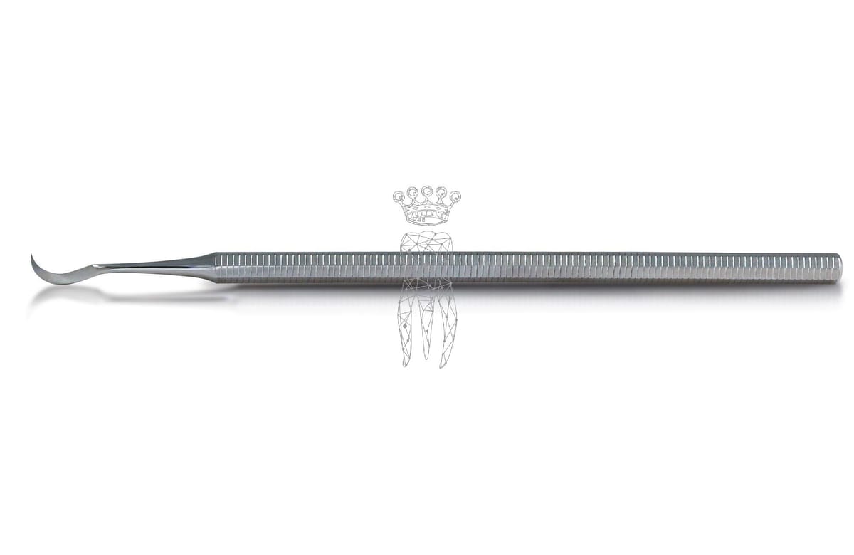 Zahnreiniger / Provisorienabheber – Carl Martin, Tooth Cleaners Perio Instruments