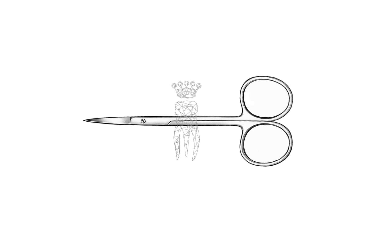 Zahnfleischschere gerade 10.5cm – Carl Martin, Gingivektomiemesser - Zahnfleischscheren