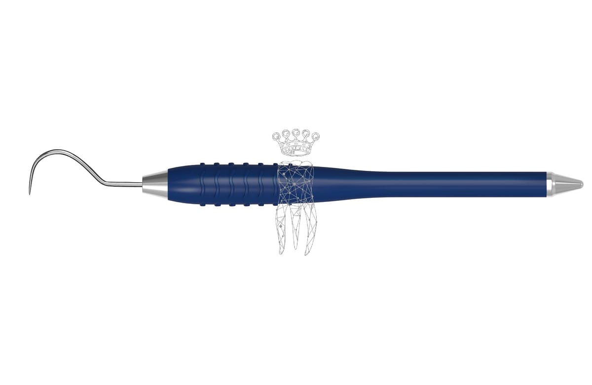 Zahnsonde einendig Kuhhorn Fig. 23 Colori-Silicon – Carl Martin, Explorers